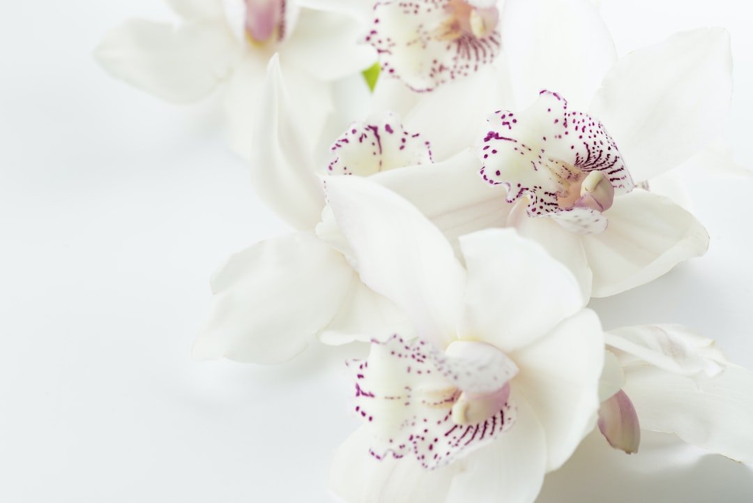 The Symbolism of Preserved Funeral Flowers - Artisan Palace