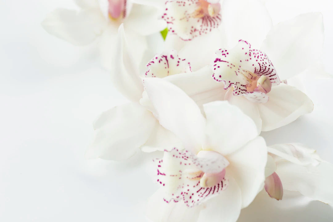 Creative Ways to Combine Keepsakes with Preserved Flowers