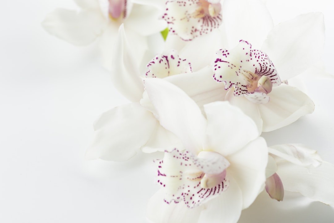 The Historical Roots of Funeral Flower Preservation - Artisan Palace