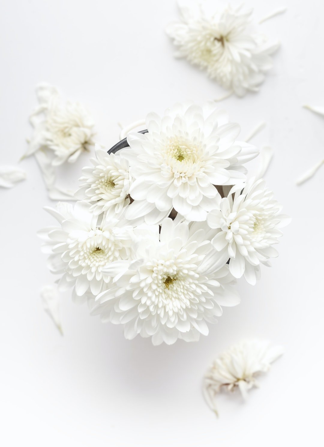 Exploring Different Techniques for Funeral Flower Preservation - Artisan Palace
