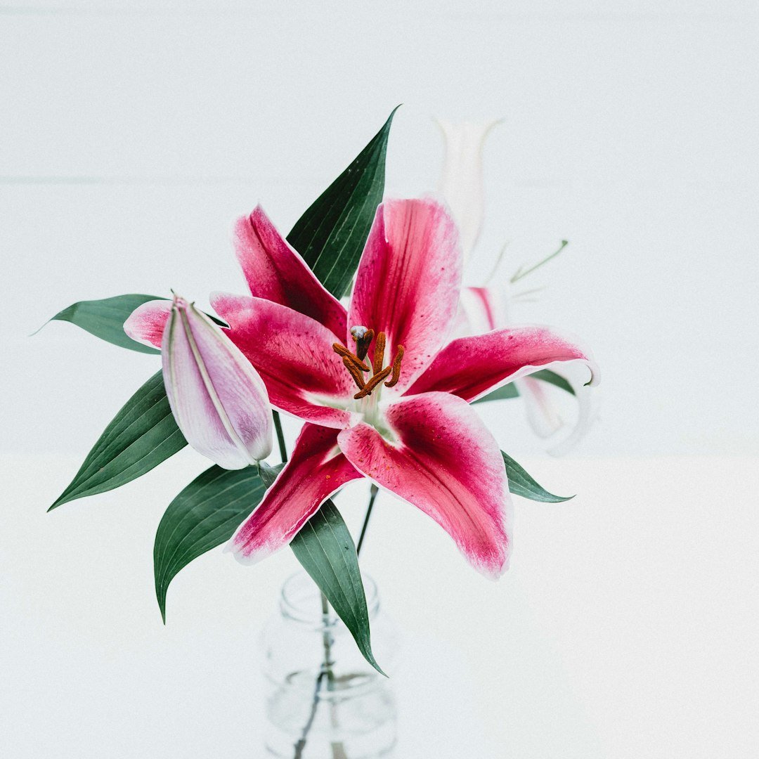 Unveiling the Rich Symbolism of Flowers Across Various Cultures - Artisan Palace