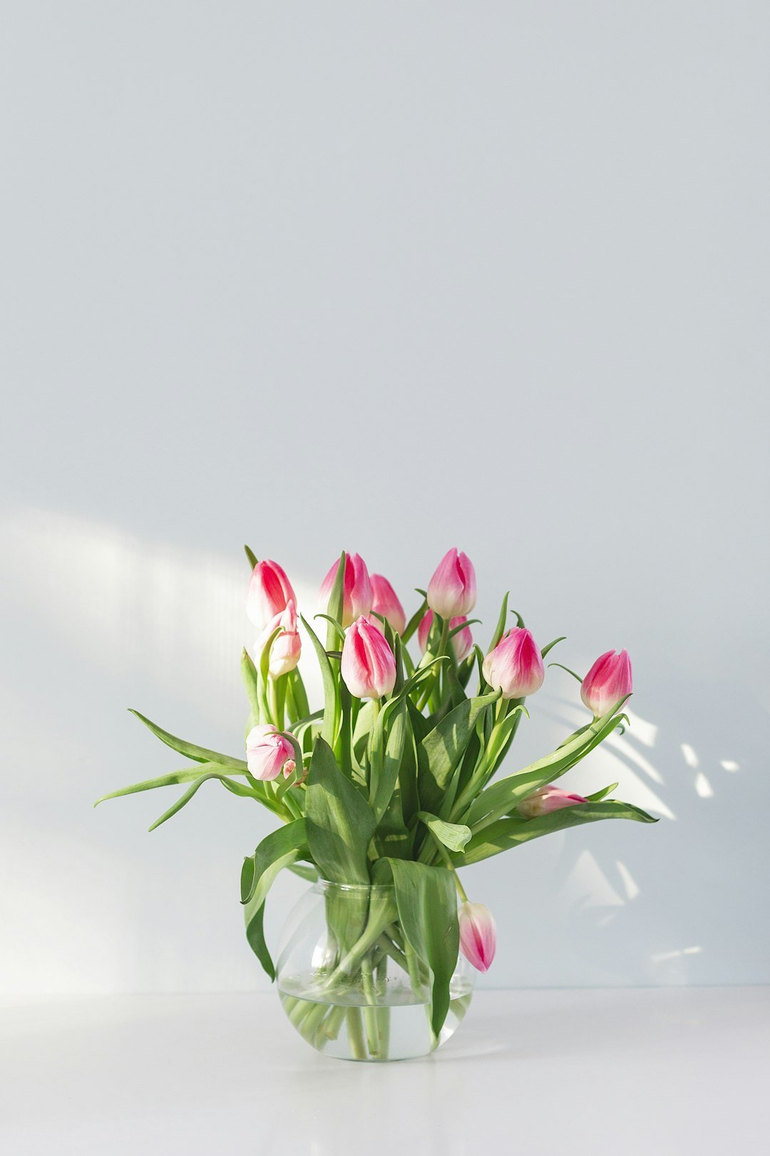 Beyond Traditional: Modern Funeral Flower Preservation - Artisan Palace