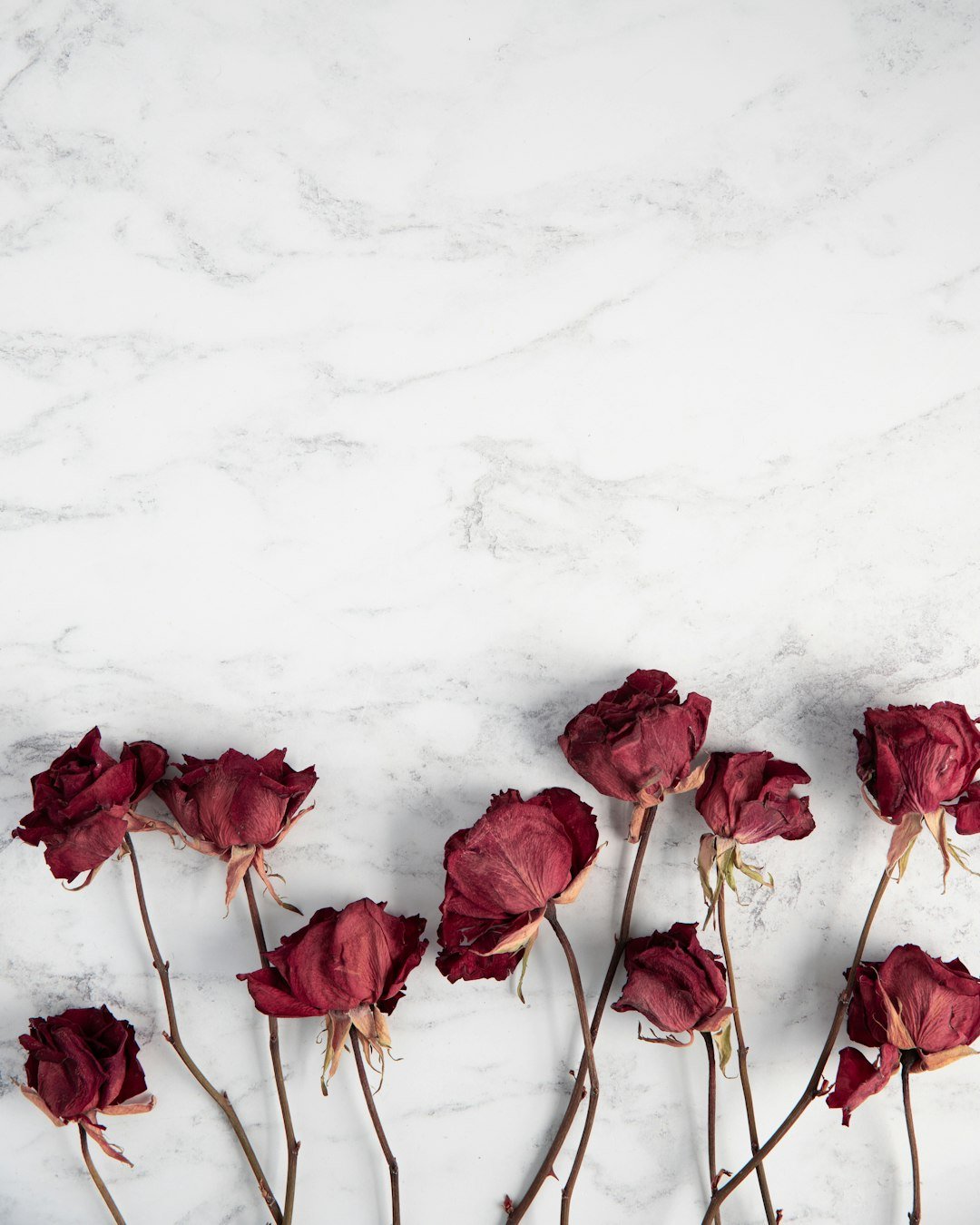 Creative Ways to Repurpose Dried Funeral Flowers - Artisan Palace