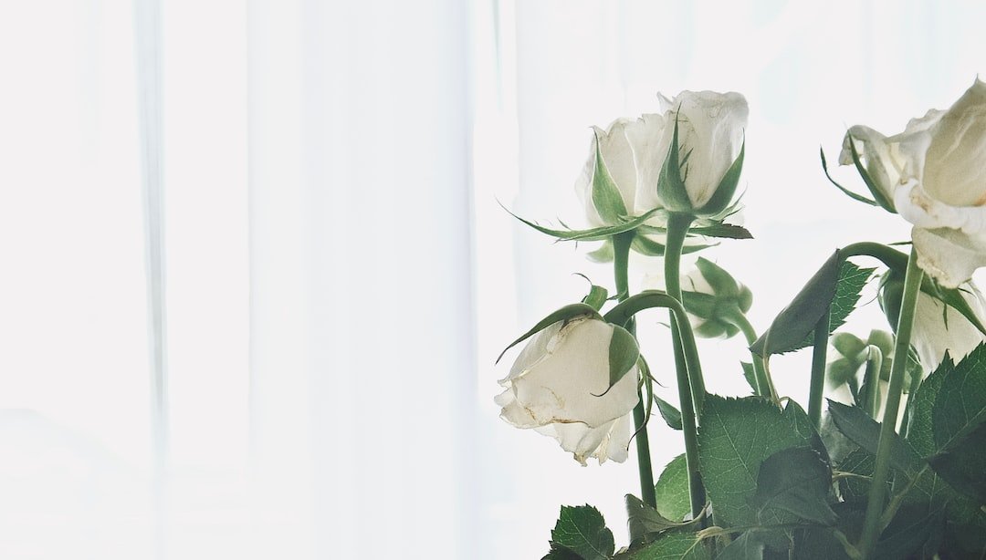 Preserving Memories: DIY Funeral Flower Preservation Techniques - Artisan Palace