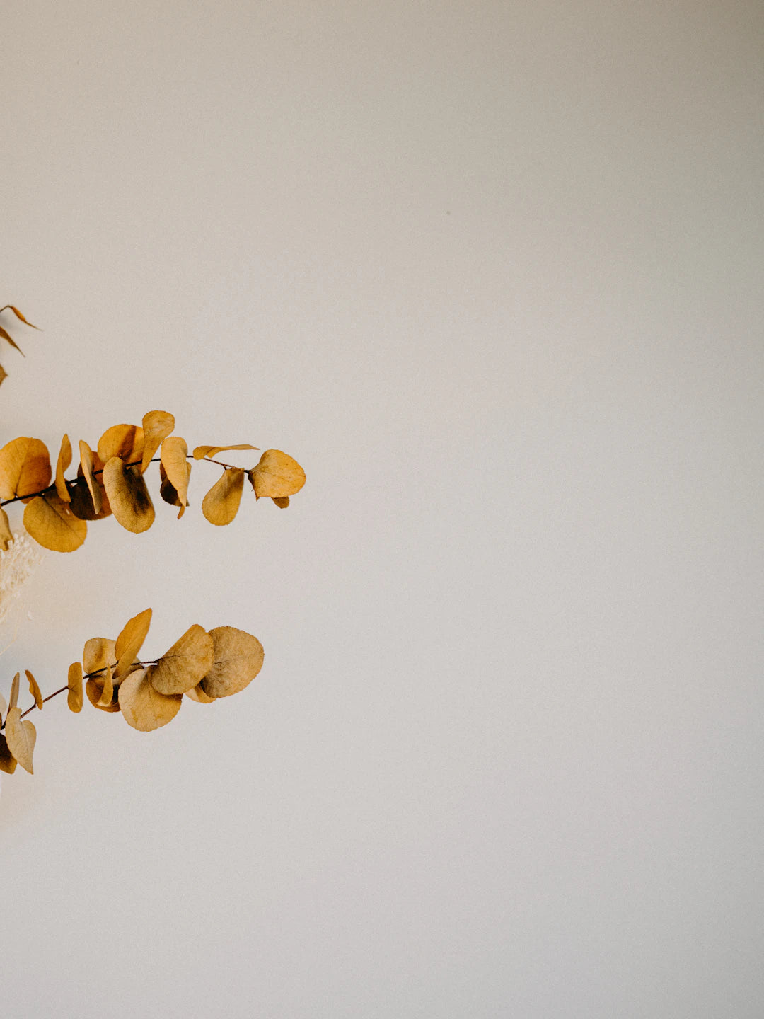 Embracing the Beauty of Preserved Flowers: A Gentle Companion in the Grieving Process