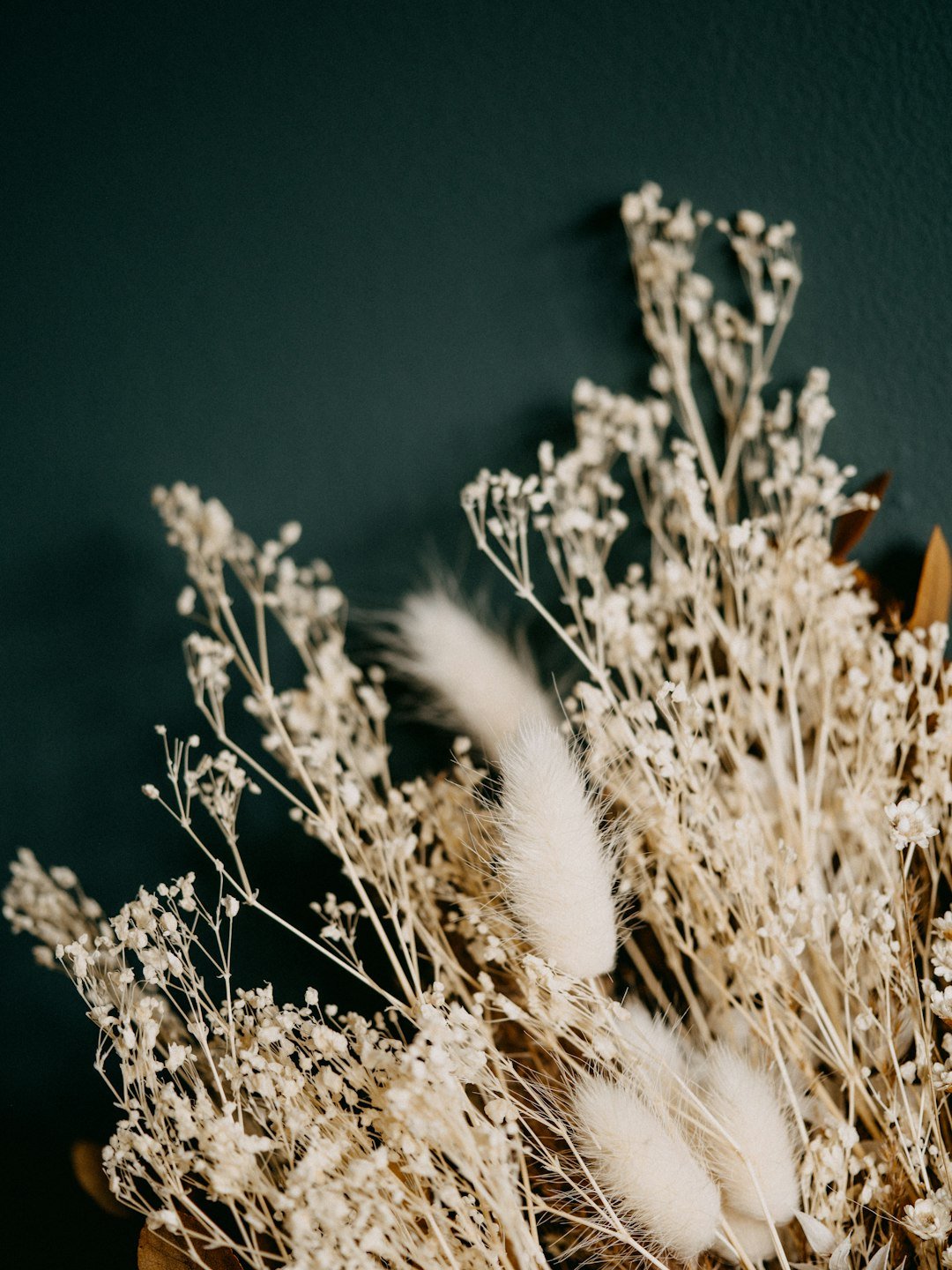 Blooms That Last: Understanding the Environmental Impact of Flower Preservation - Artisan Palace