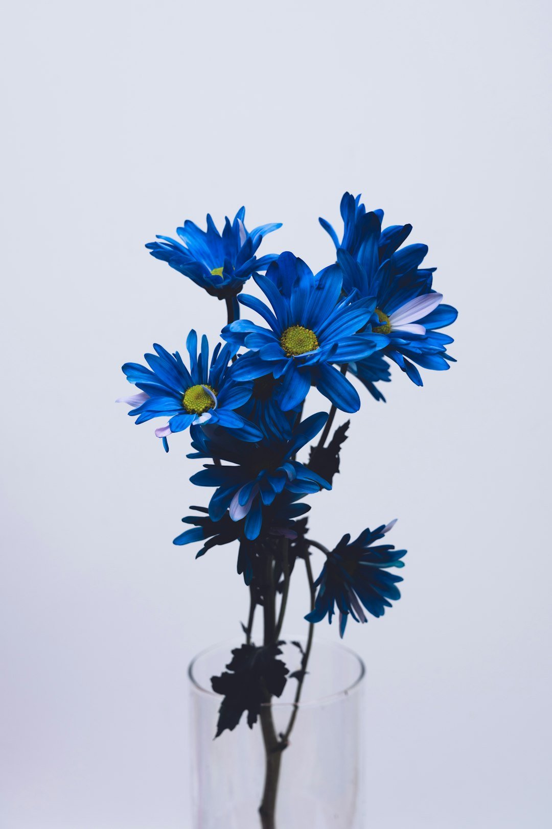 Preserving Memories: The Art of Funeral Flower Preservation with Technology - Artisan Palace