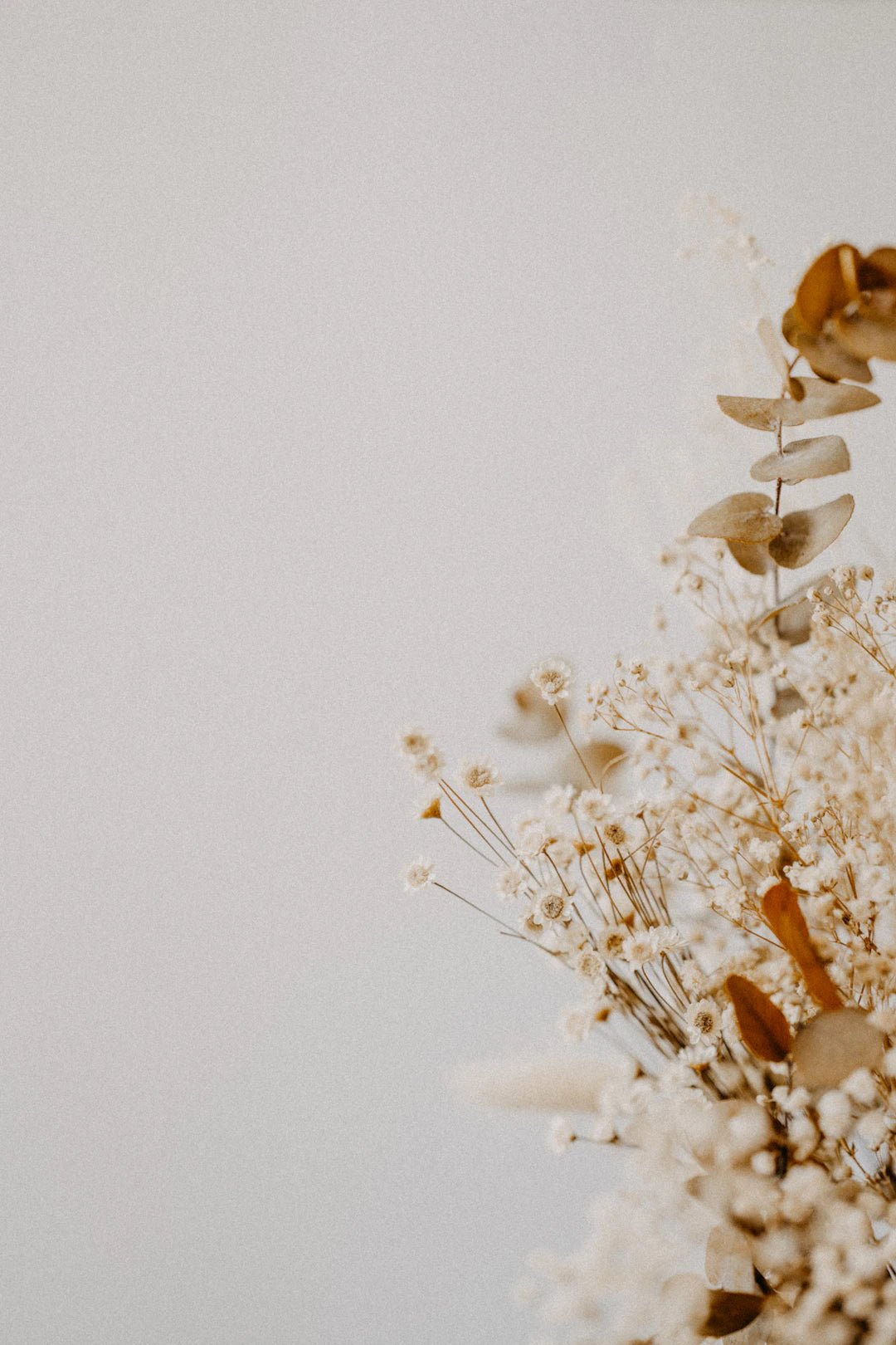 The Timeless Beauty: Exploring the Cultural Significance of Preserved Flowers - Artisan Palace