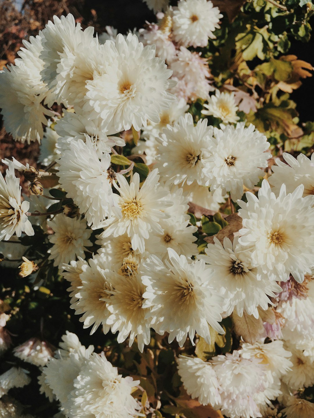 The History of Funeral Flower Preservation - Artisan Palace