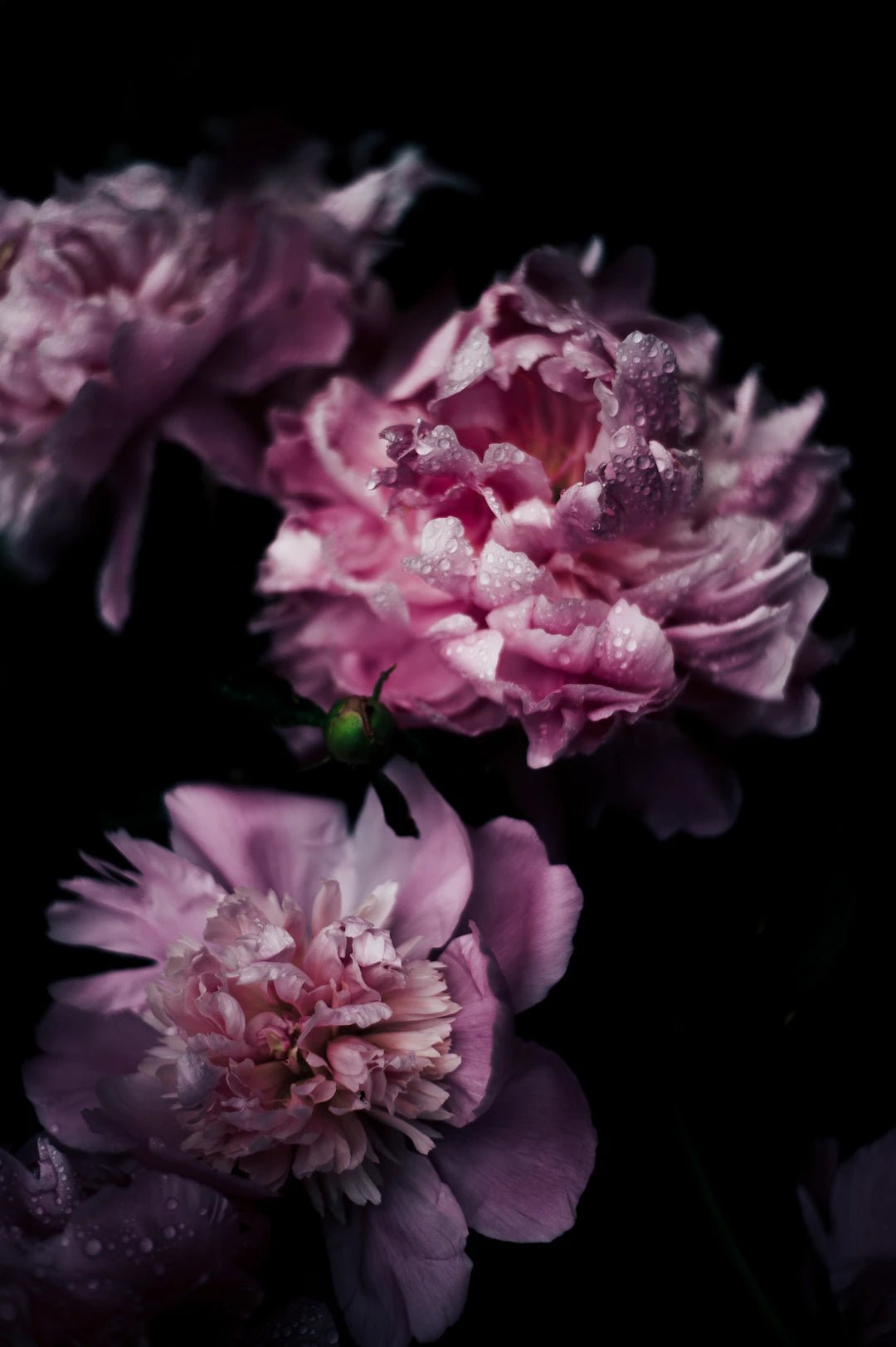 Keep the Beauty Alive: Exploring Artisan Floral Preservation Services - Artisan Palace