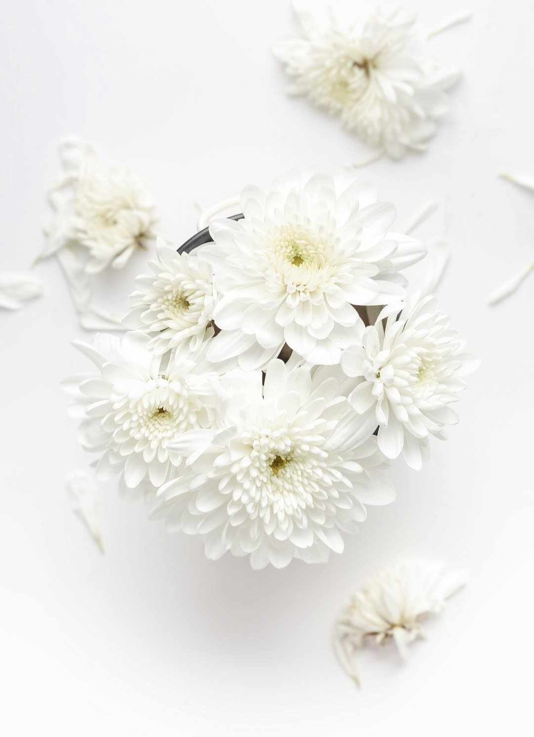 Preserving Funeral Flowers: A Lasting Tribute - Artisan Palace