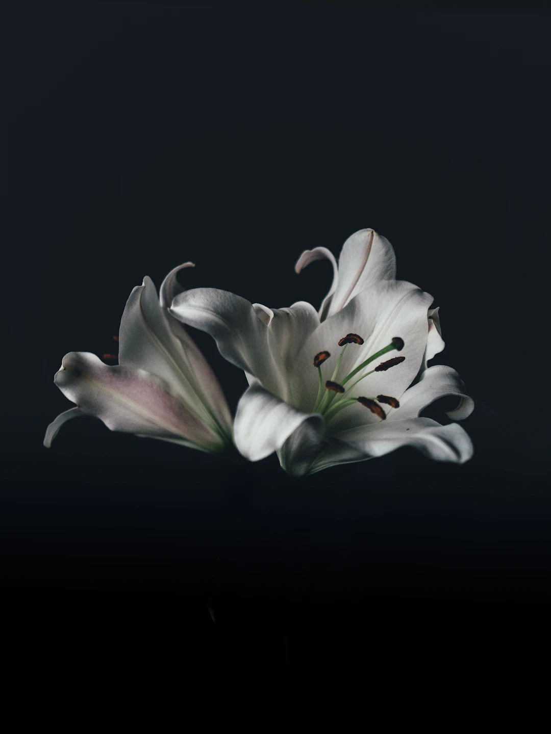 The Art of Flower Resin Preservation: Transforming Nature into Lasting Memories - Artisan Palace