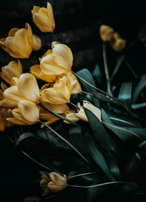 Preserving Funeral Flowers with Pressing and Drying