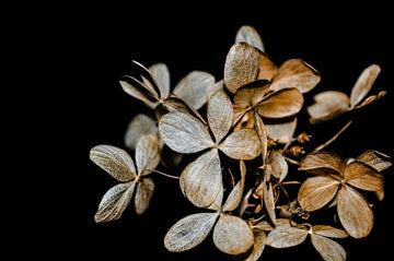 Timing is Everything: Mastering the Art of Preserving Flowers