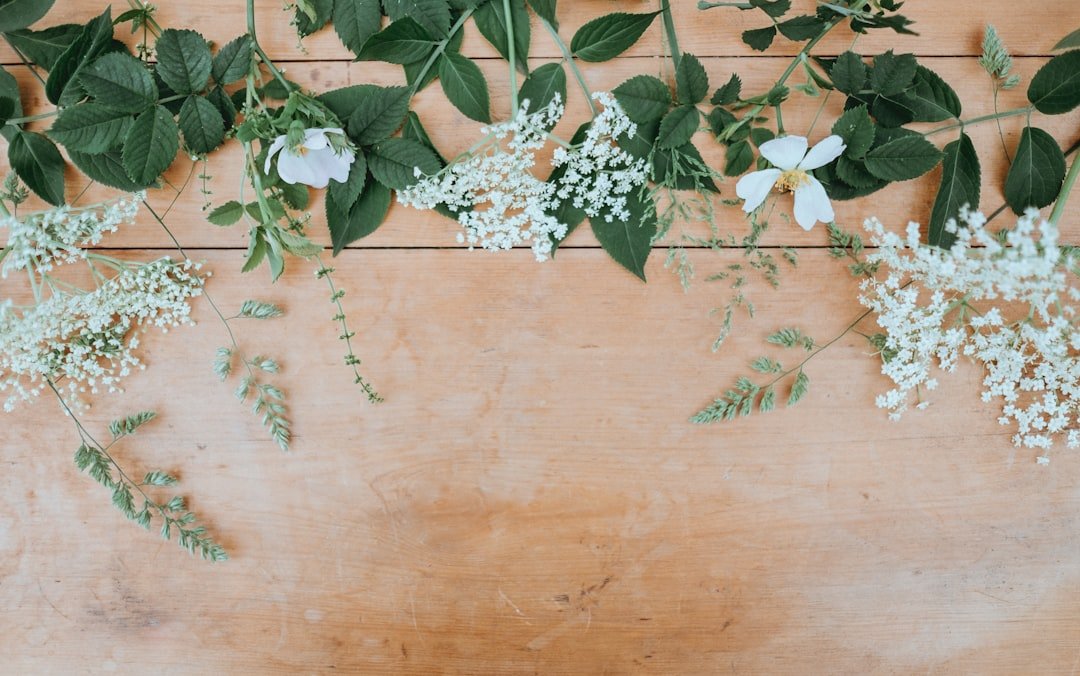 Crafting Lasting Memories: How to Create a Floral Memory Box with Preserved Flowers - Artisan Palace