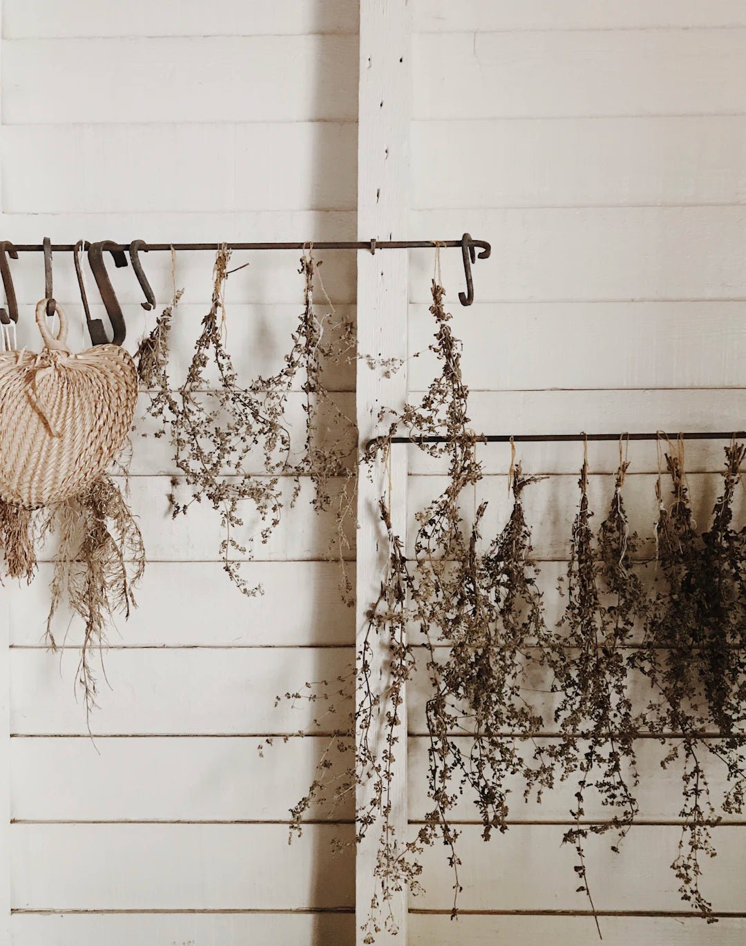 Creative Inspirations for DIY Flower Preservation: Keep Your Memories Blooming - Artisan Palace