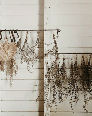 Your Ultimate Guide to Preserving Memories: Drying Funeral Flowers at Home