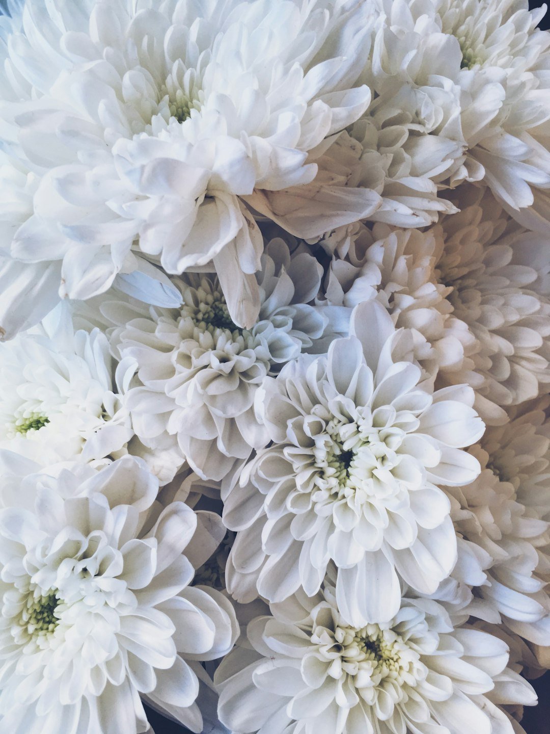 Innovative Ideas for Displaying Preserved Funeral Flowers - Artisan Palace