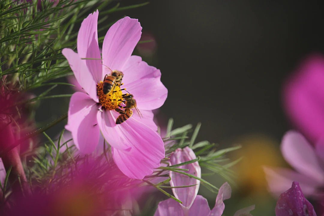 Blooming Success: How to Create a Flower Preservation Business - Artisan Palace