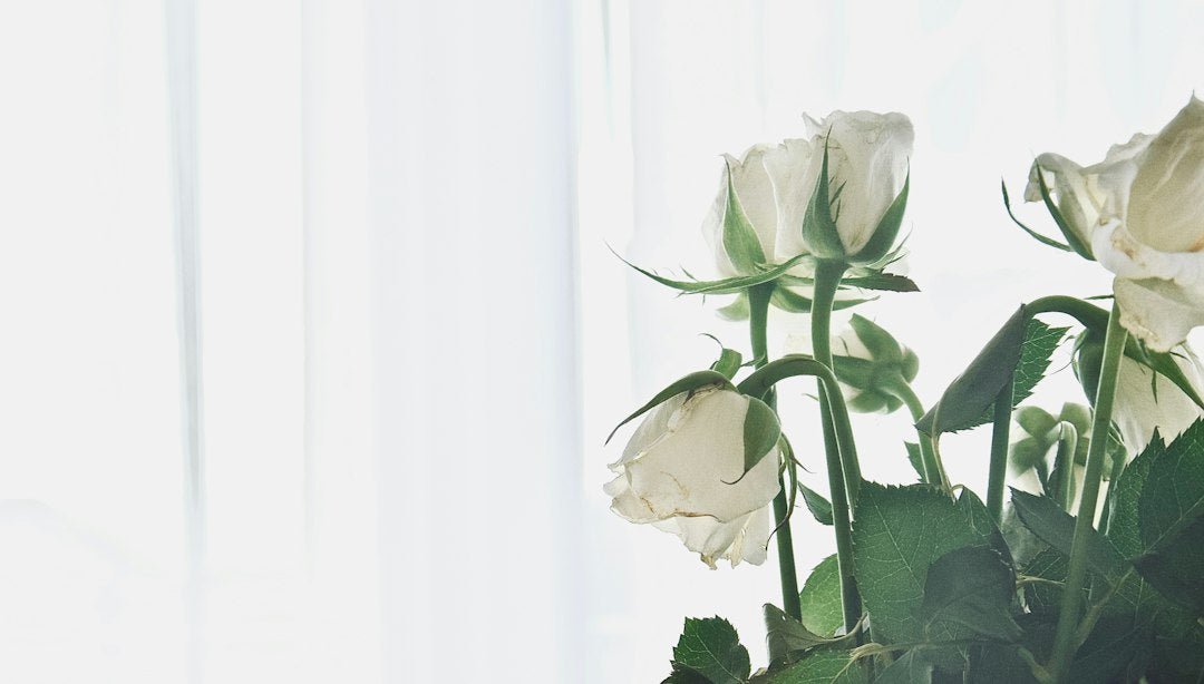 Preserving Funeral Flowers: Honoring Loved Ones Through Time - Artisan Palace