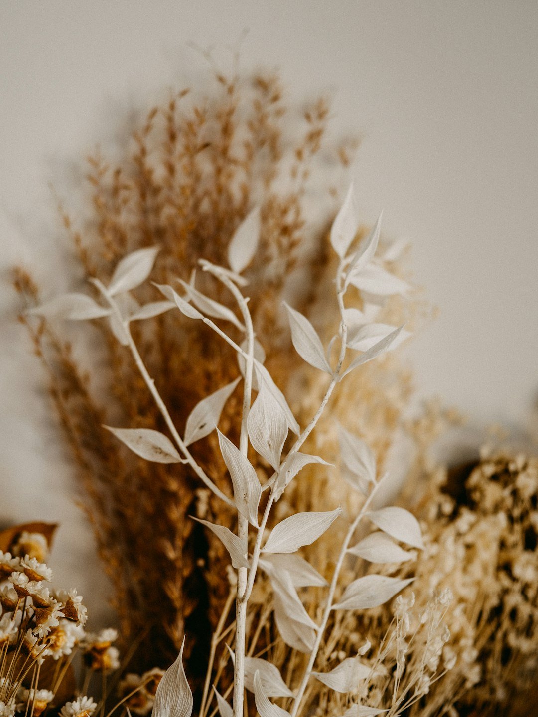 Preserve the Beauty: Top Tips for Maintaining the Integrity of Preserved Flowers - Artisan Palace