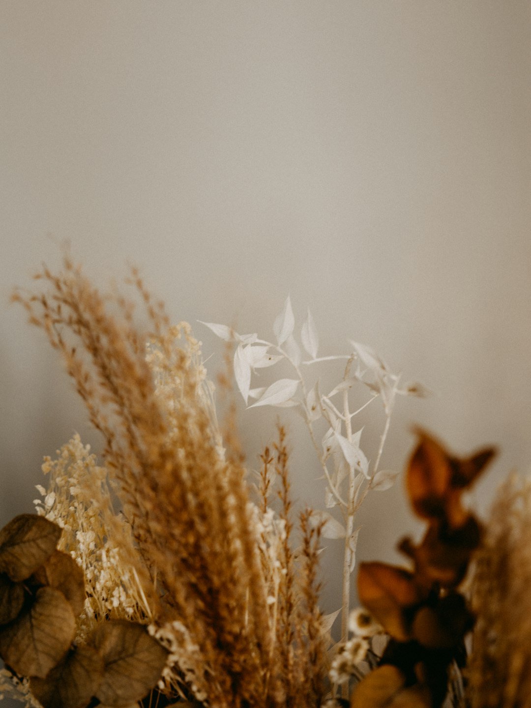 Creating a Lasting Memory: Framing Preserved Flowers - Artisan Palace