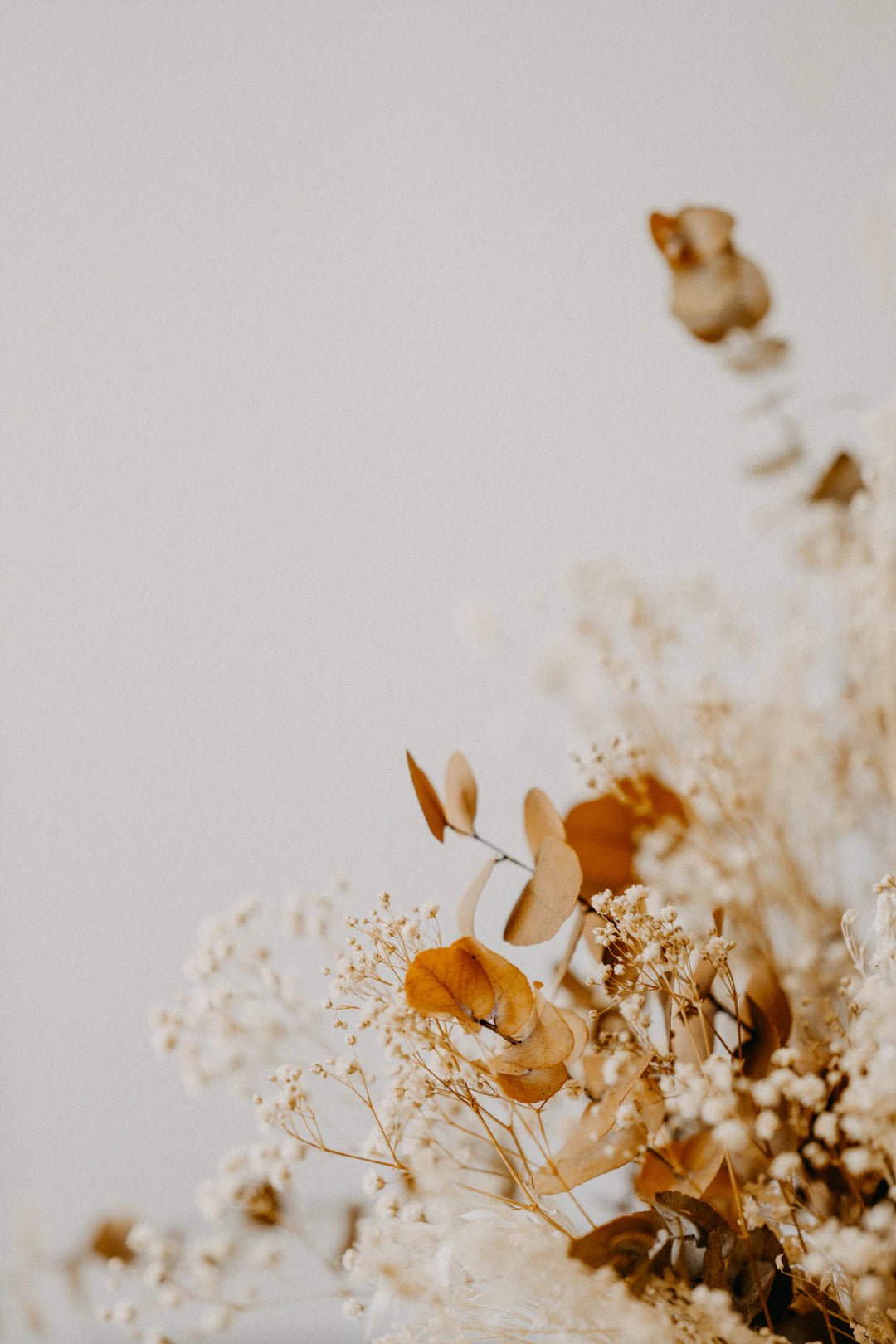 Mastering the Art of Preserved Flowers: Best Practices for Storing Them - Artisan Palace