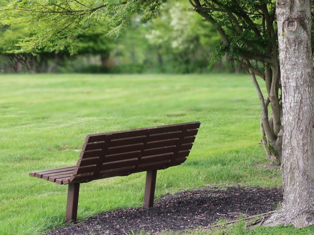 The Emotional Benefits of Keeping Funeral Flowers - Artisan Palace