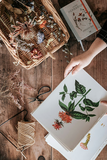 The Science Behind Flower Drying: Preserving Nature's Beauty