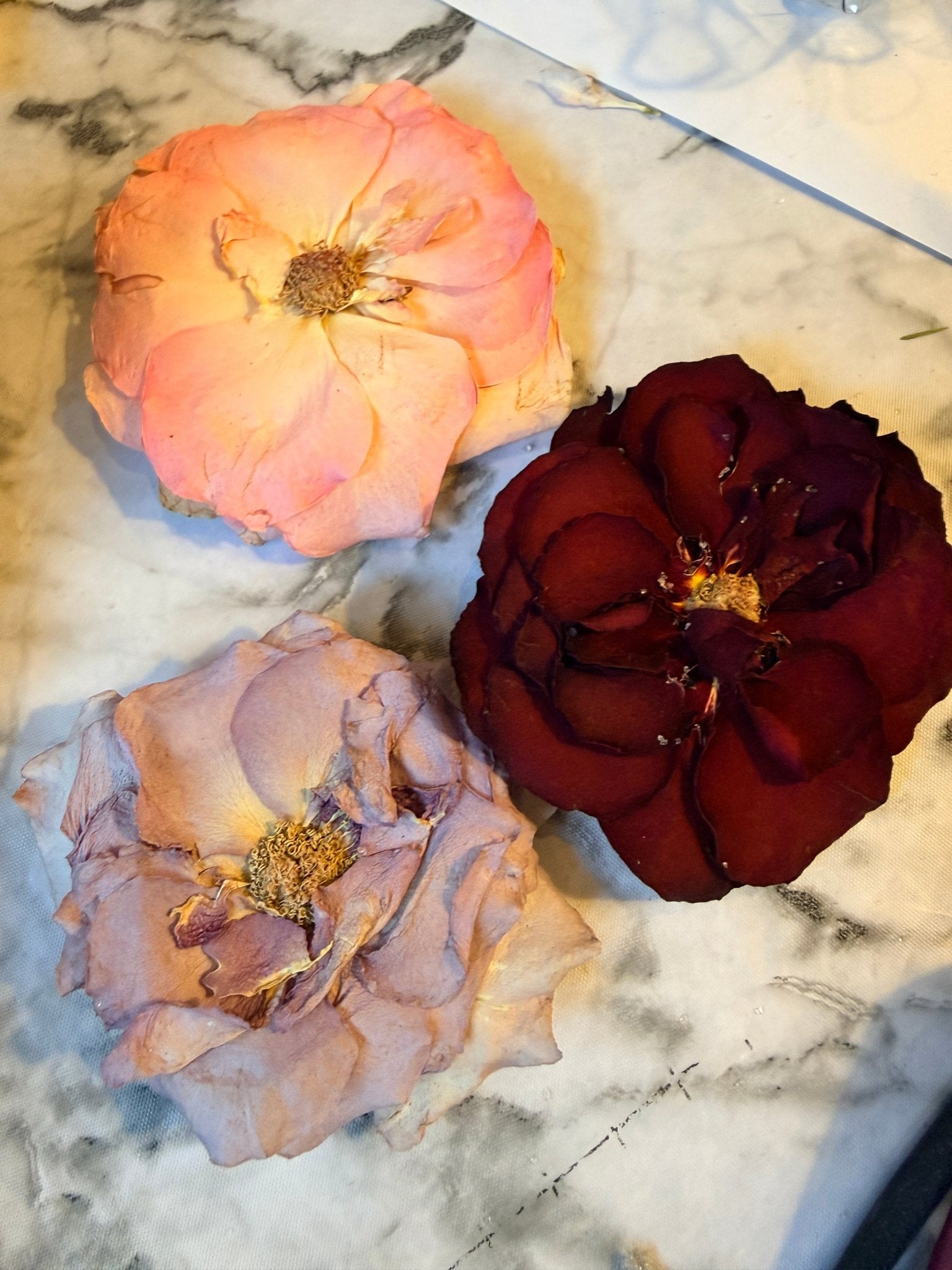 Pressing Flower Service - Artisan Palace