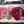 Real Pressed Handmade Flower Clutch Bag Elegant Style Evening Unique Gift Wedding Anniversary Birthday Rose Resin