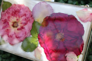 Resin Pressed Flower Clutch Bag - Artisan Palace