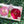 Wedding Flower Preservation Pressed Handmade Flower Clutch Bag Elegant Style Evening Unique Gift Wedding Anniversary Birthday Rose Resin