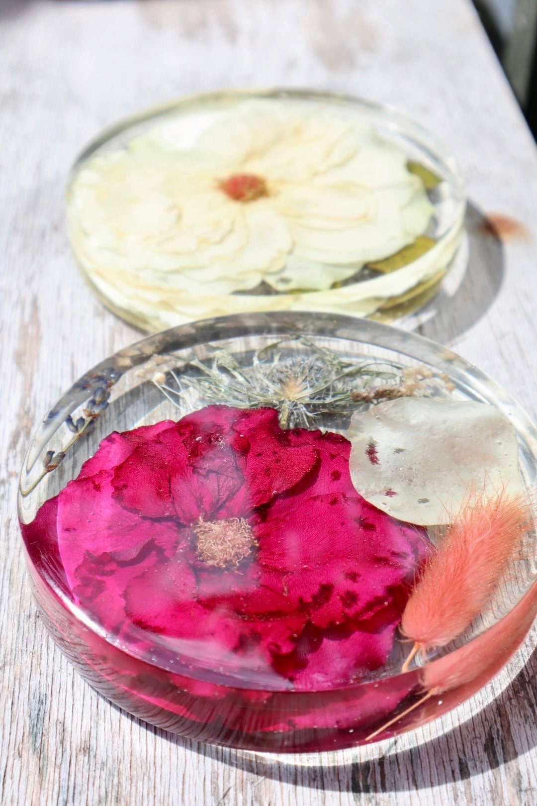 Coaster Round Circle Disk Flower Preservation Pressed Flowers Wedding Funeral Functional Gift 11cm x 2cm